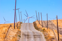 Shiloh Road, Near Bird's Landing, Ca.