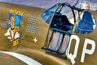 North American P-51C-10NT Mustang- Owner/Pilot John-Curtiss Paul