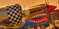 CURTISS P-40E KITTYHAWK-Owner/Pilot, John-Curtiss Paul