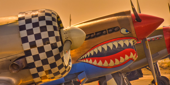 CURTISS P-40E KITTYHAWK-Owner/Pilot, John-Curtiss Paul