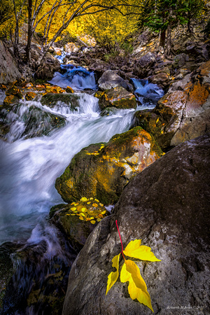 Big Cottonwood Canyon, Utah