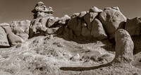 UTAH