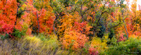 Squak Peak Road, Provo Canyon, Utah