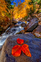 Big Cottonwood Canyon, Utah