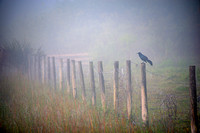 Okeechobee Florida