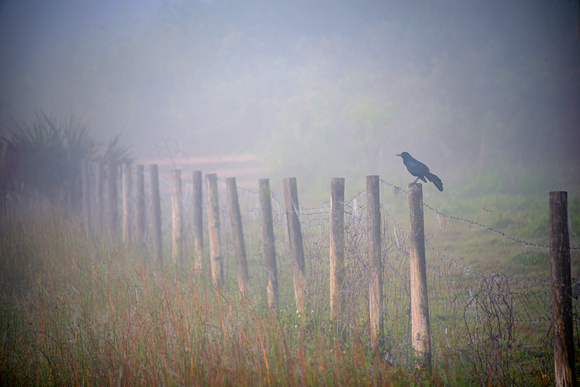 Okeechobee Florida