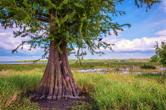 Lake Okeechobee, Florida