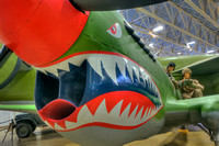 P-40N "Warhawk"