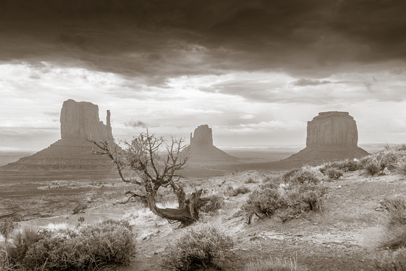 UTAH
