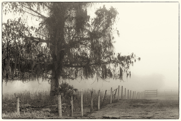 Okeechobee Florida