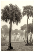 Okeechobee Florida