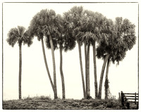Okeechobee Florida