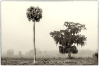 Okeechobee Florida