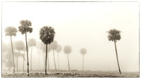 Okeechobee Florida