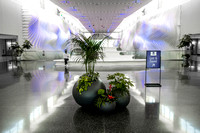 Airport, SLC, UT 2021