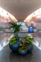 Airport, SLC, UT 2021
