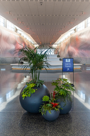 Airport, SLC, UT 2021