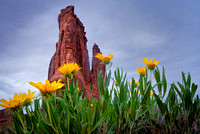 Courthouse View, Arches National Park, Moab Utah