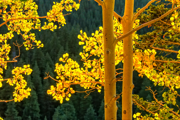 Big Cottonwood Canyon, Utah