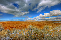 Around the GREAT SALT LAKE, UTAH